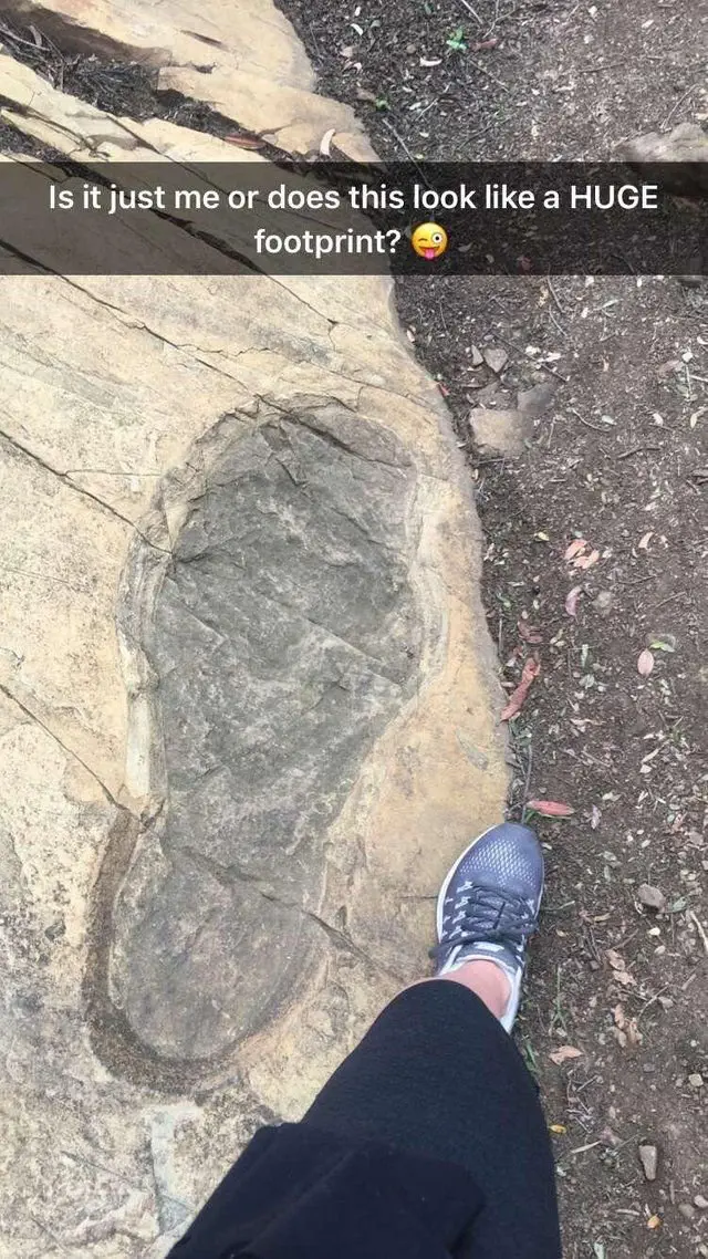 Image credit: Reddit | MinerHead