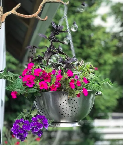 Image credit: Instagram | @flori.flowers