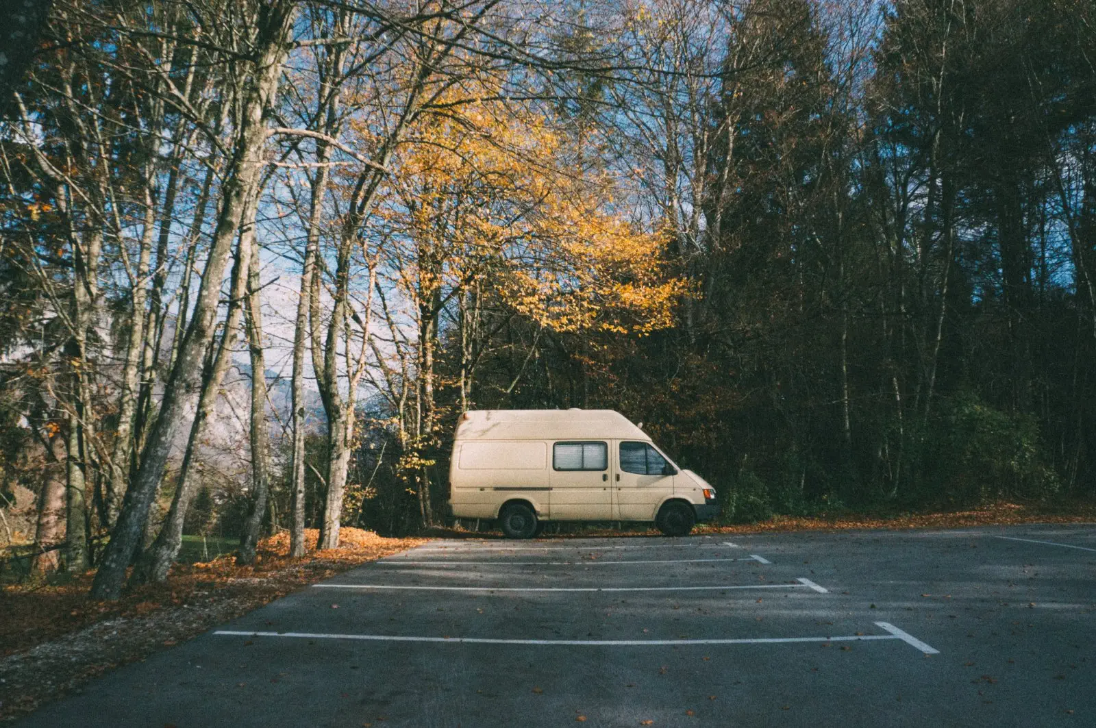 Image credit: Unsplash | Tobias Tullius