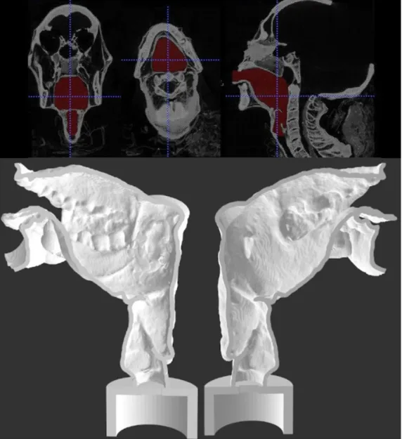 Image credit: Scientific Reports