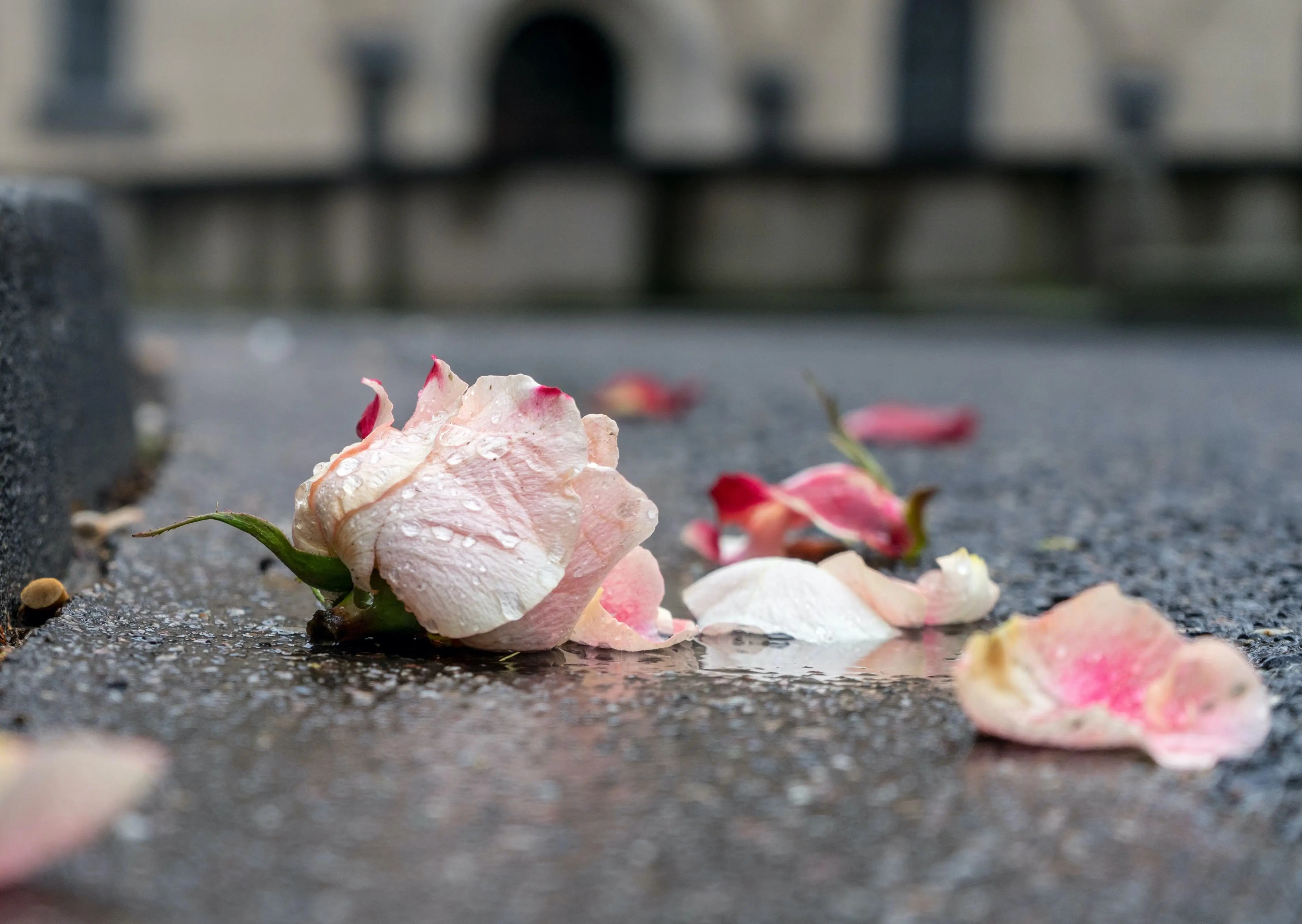 Image credit: Unsplash | Ian Taylor