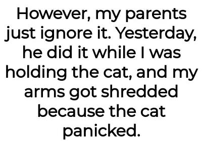 Image credit: -like-a-baka- | -like-a-baka-