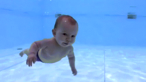 Image credit: Giphy