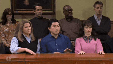 Image credit: Giphy | Saturday Night Live