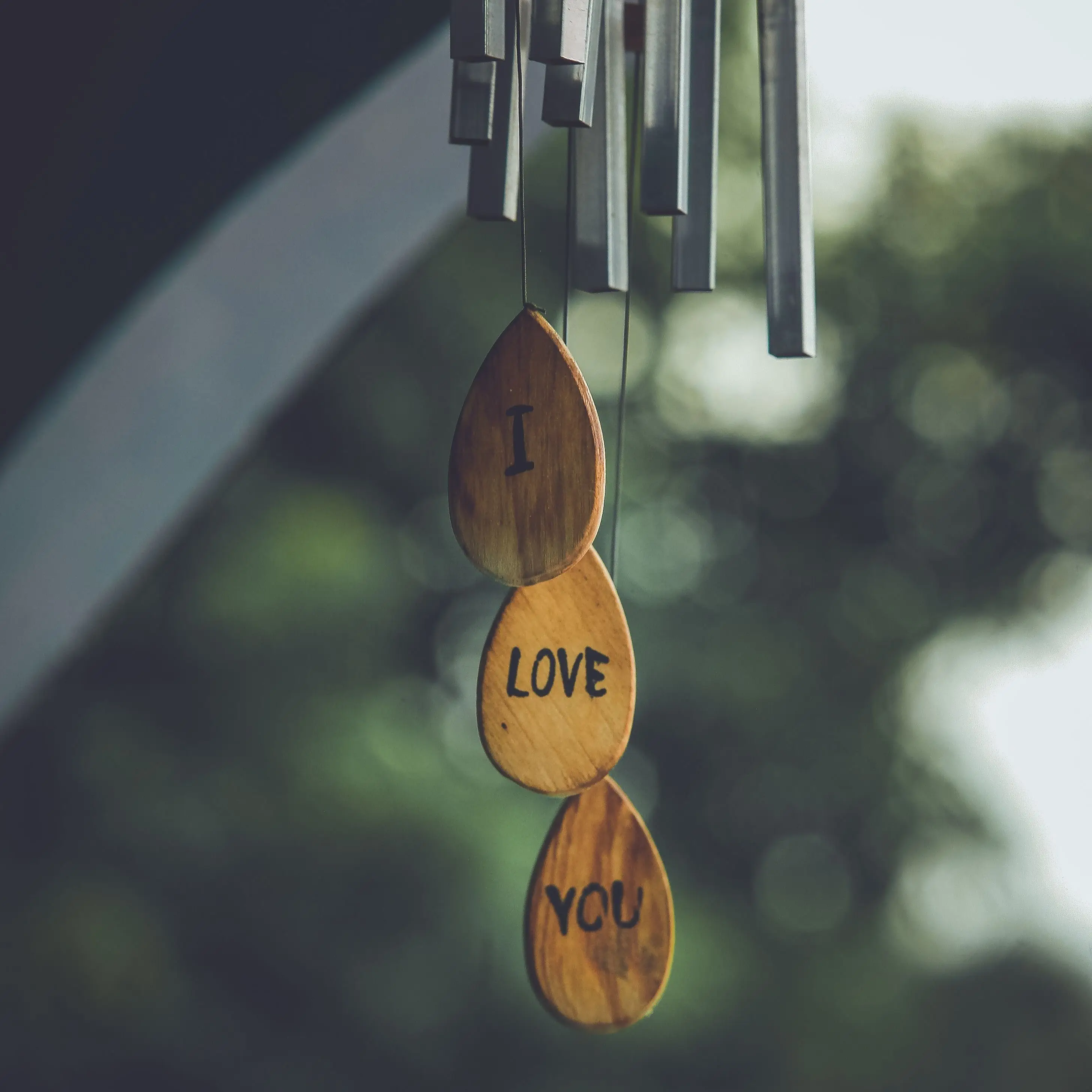 Image credit: Unsplash | Suresh Kumar
