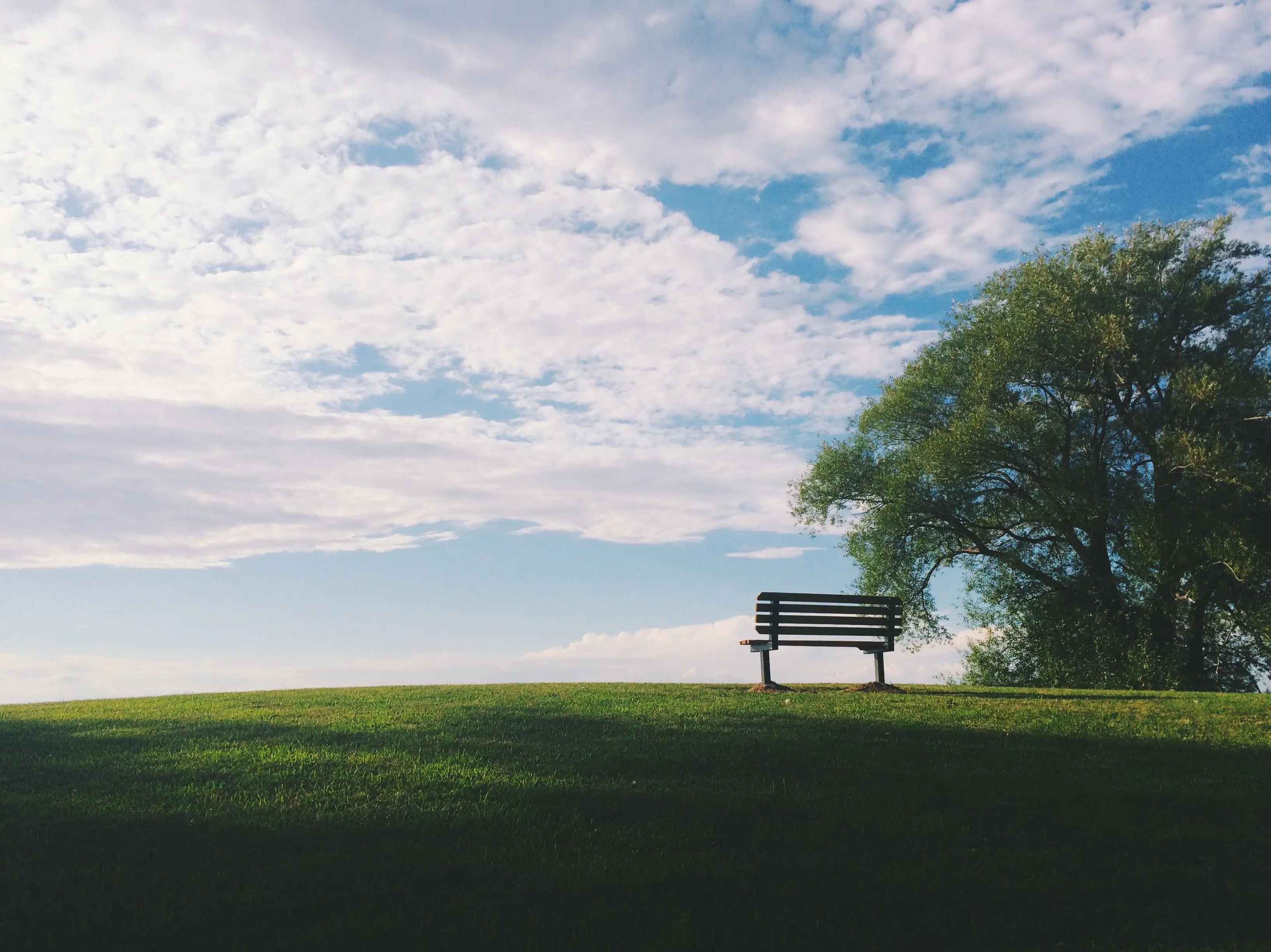 Image credit: Unsplash | Noah Silliman