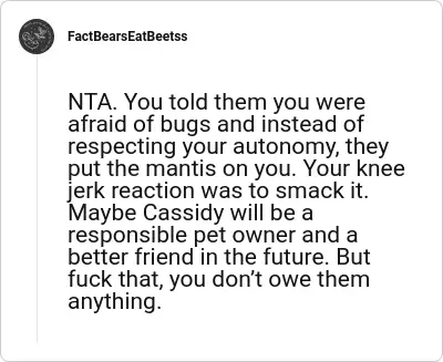 Image credit: FactBearsEatBeetss | FactBearsEatBeetss