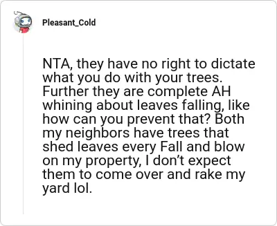 Image credit: Pleasant_Cold | Pleasant_Cold