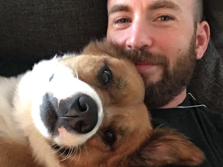 Image credit: Instagram | @chrisevans