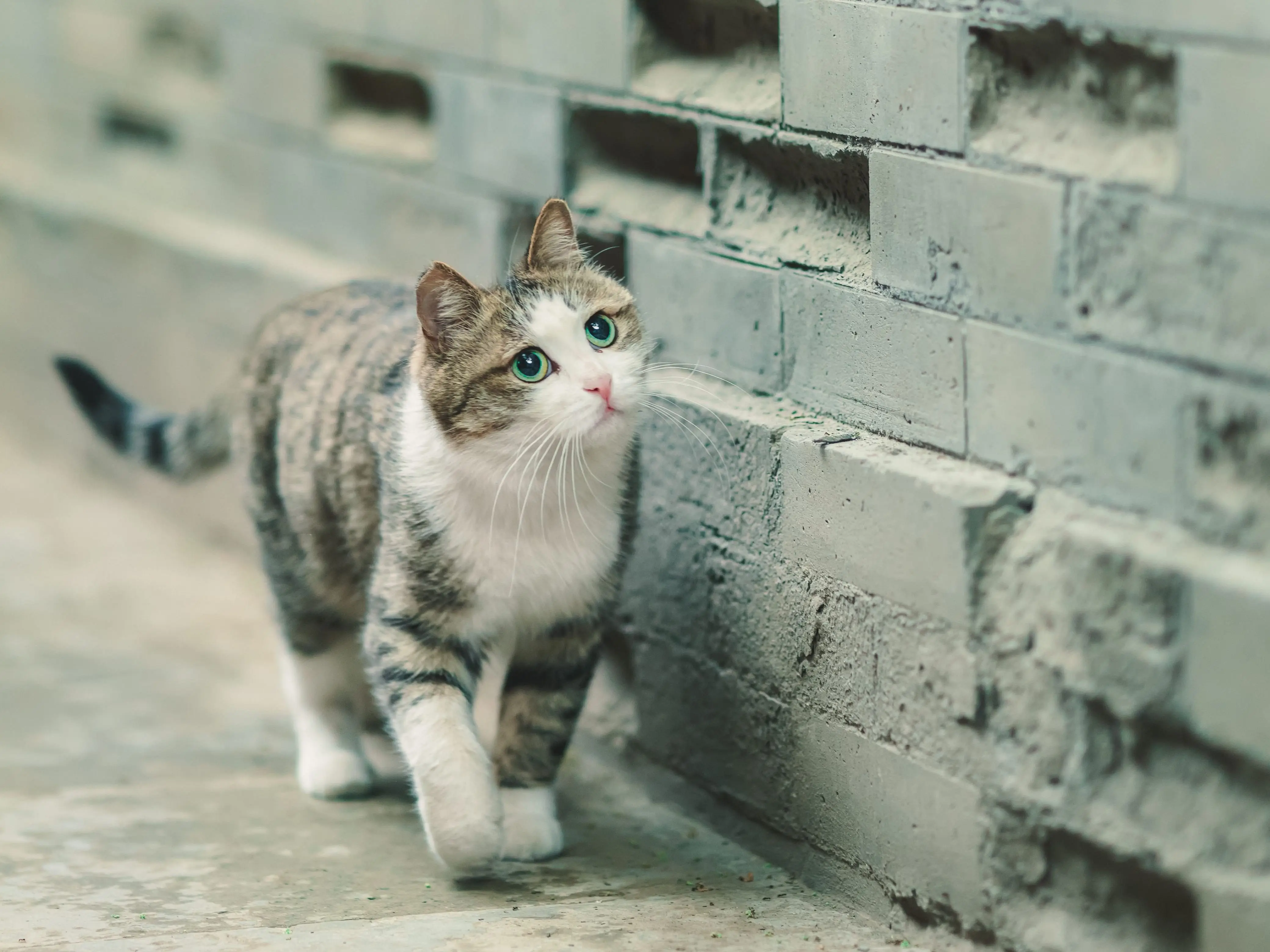 Image credit: Unsplash | zhang kaiyv