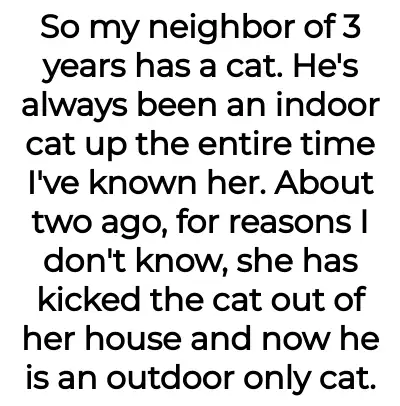 Image credit: pineapplesensitive35 | pineapplesensitive35