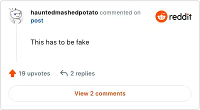 Image credit: hauntedmashedpotato | hauntedmashedpotato