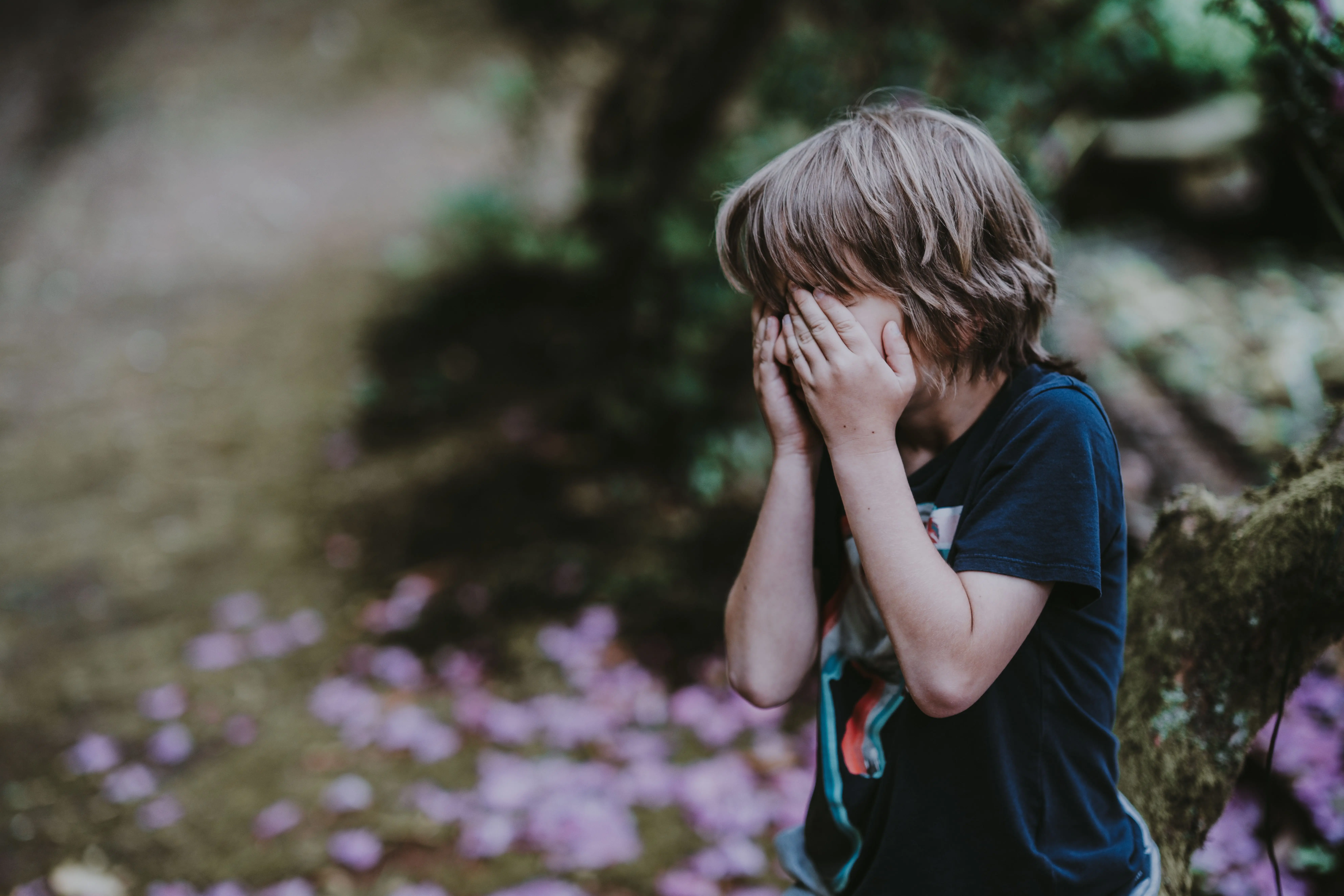 Image credit: Unsplash | Annie Spratt