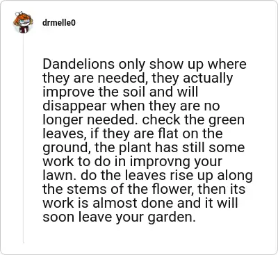 Image credit: drmelle0 | drmelle0