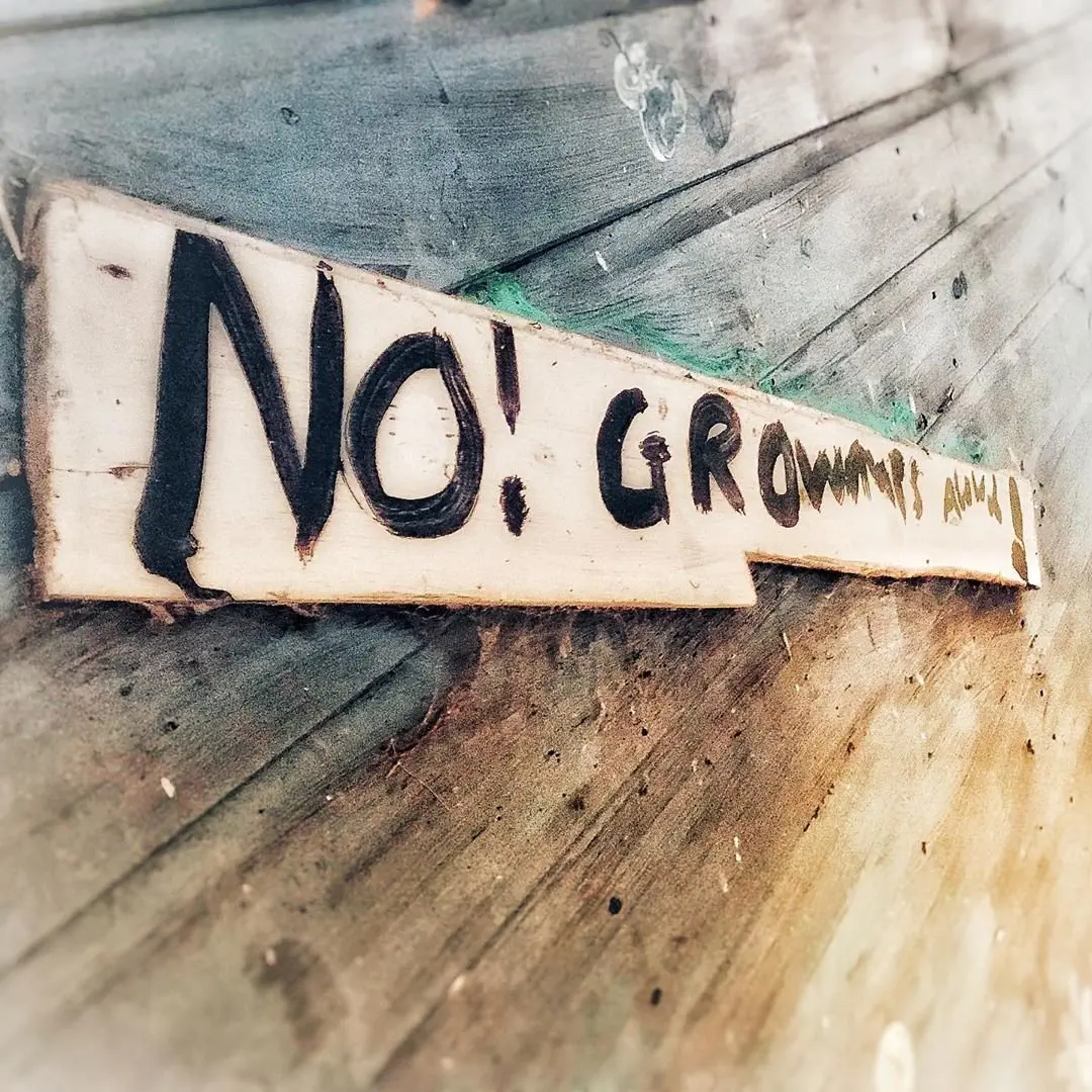 Image credit: Instagram | @flowersnappy