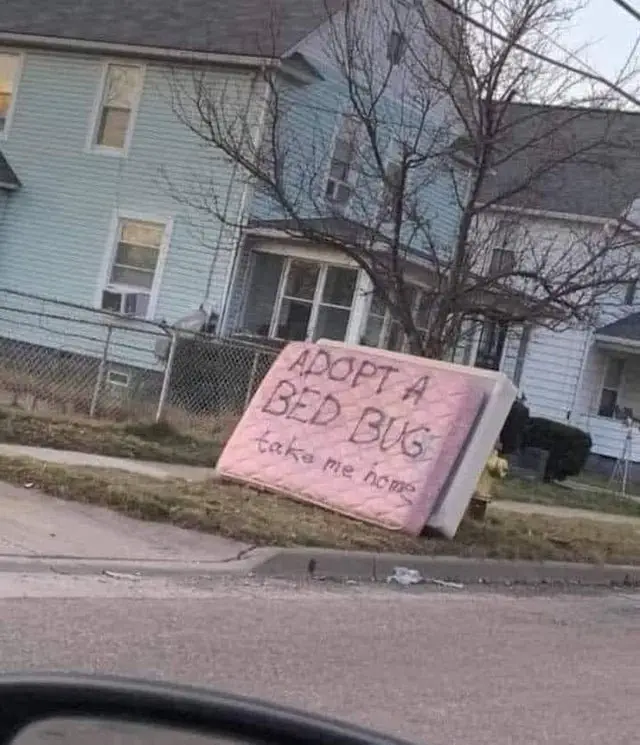 Image credit: Reddit | Kissy75