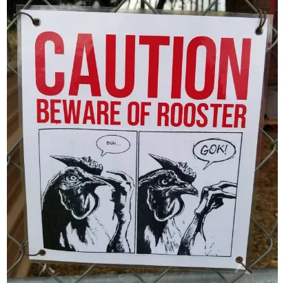 Image credit: Reddit | bobekyrant