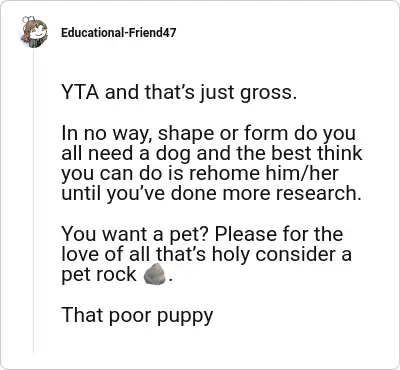 Image credit: Educational-Friend47 | Educational-Friend47