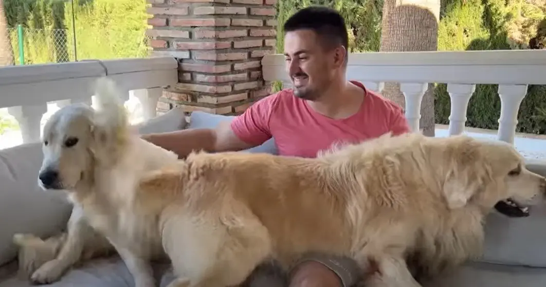 Image credit: youtube | This is Bailey