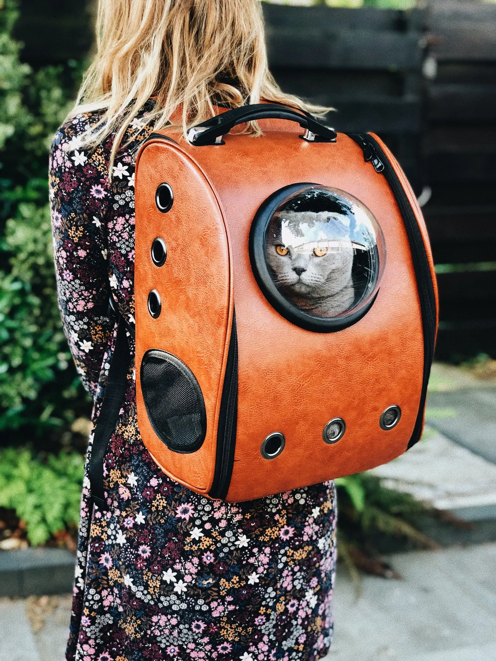 Image credit: Unsplash | Raoul Droog