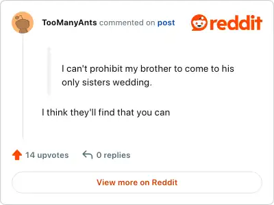 Image credit: TooManyAnts | TooManyAnts