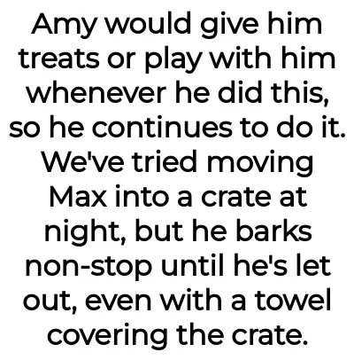 Image credit: sickofamysdog-aita | sickofamysdog-aita