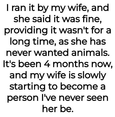 Image credit: fun_musician7863 | fun_musician7863