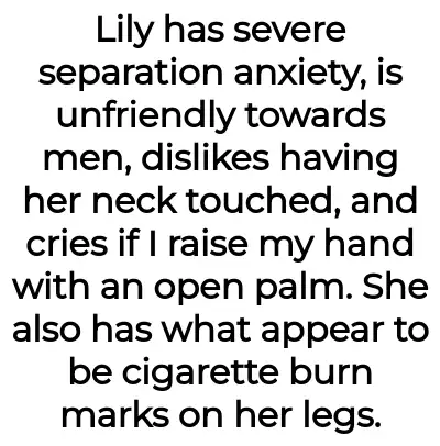 Image credit: lilypupper-aita | lilypupper-aita
