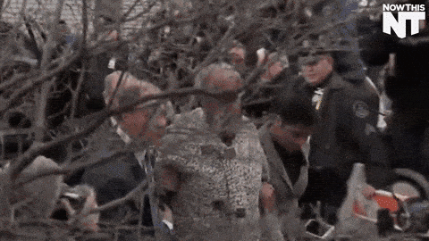 Image credit: Giphy | NowThis