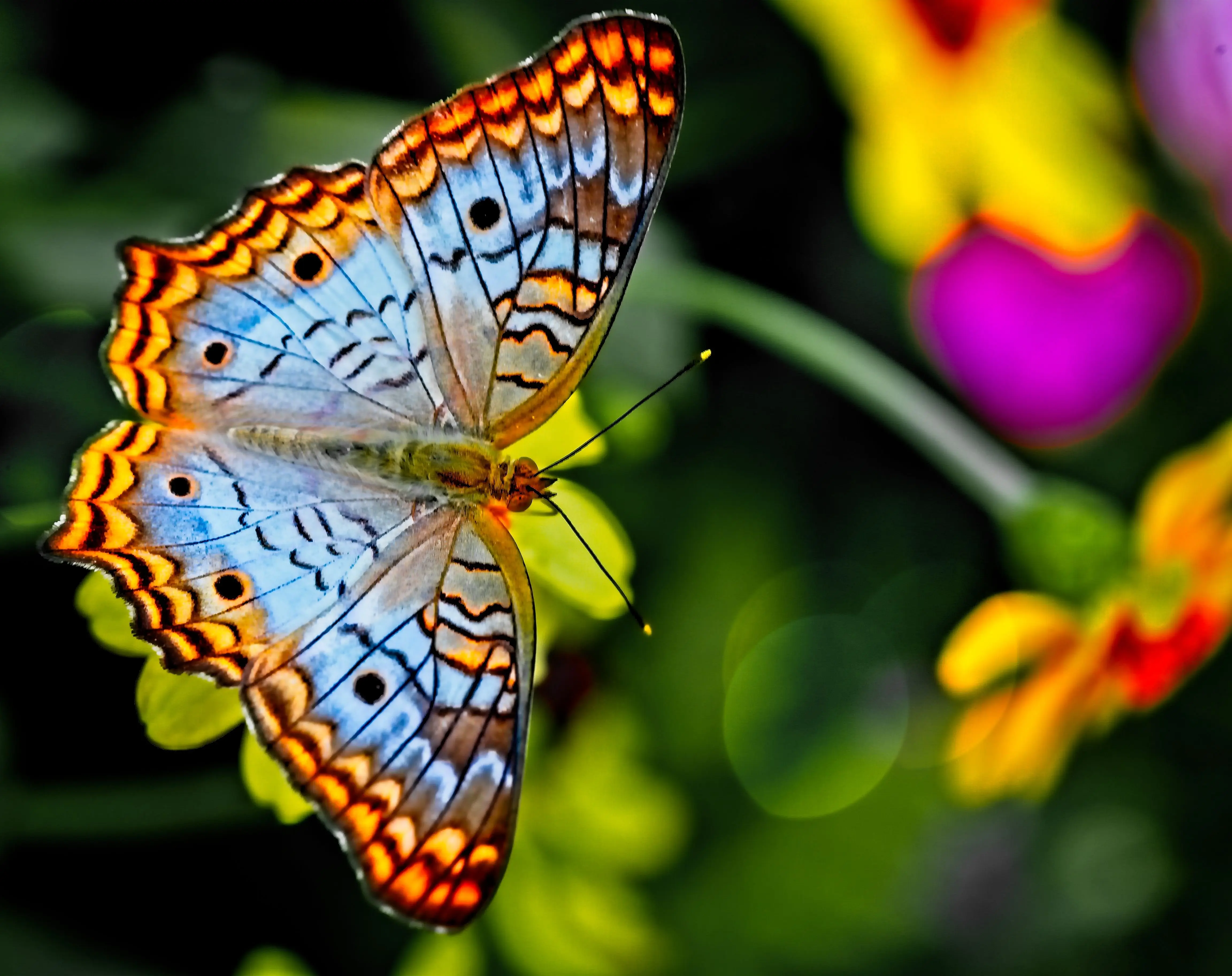 Image credit: Unsplash | Alfred Schrock