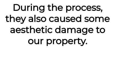 Image credit: trafedupneighbour | trafedupneighbour