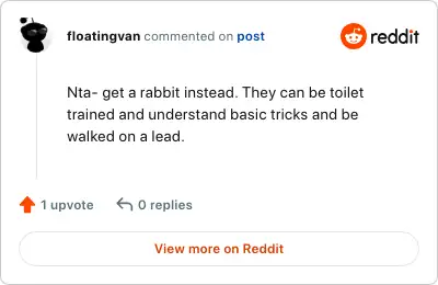Image credit: floatingvan | floatingvan