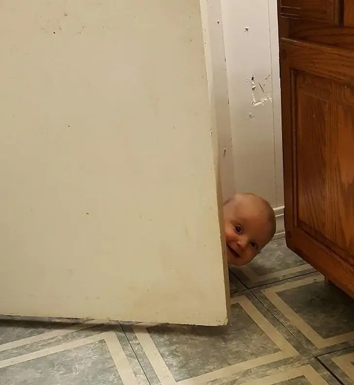 Image credit: Imgur