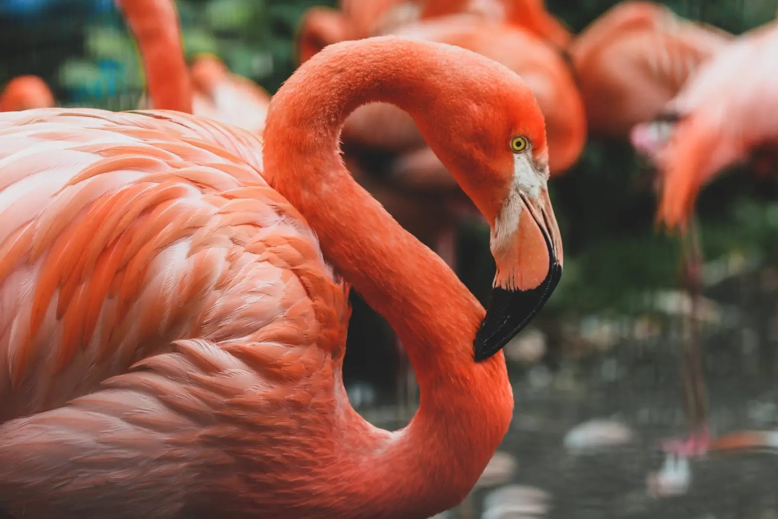 Image credit: Unsplash | Gislane Dijkstra