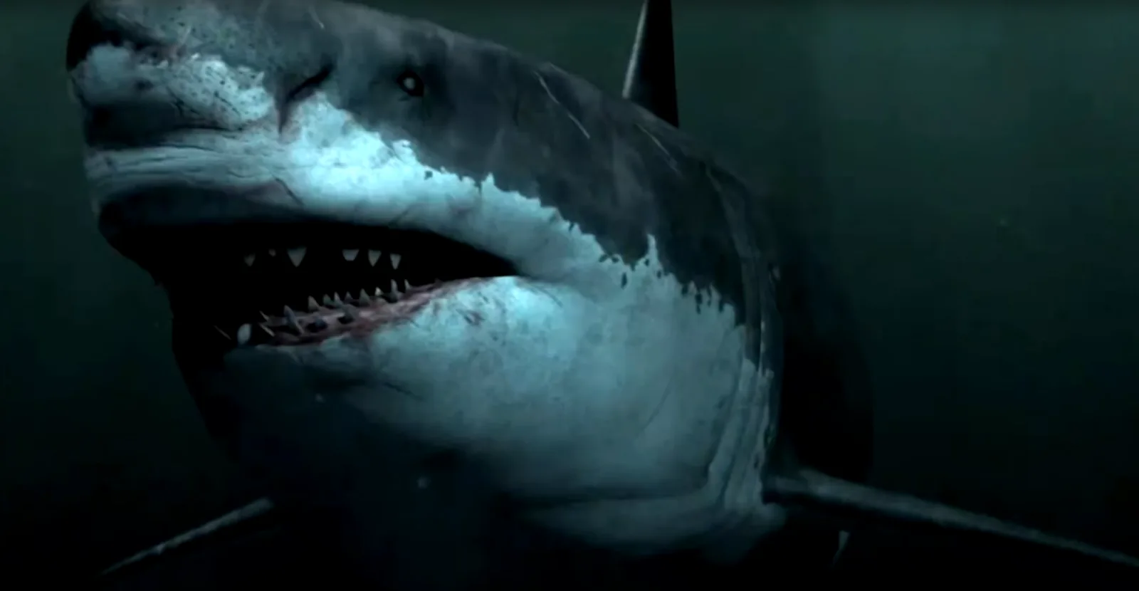 Image credit: Discovery via YouTube
