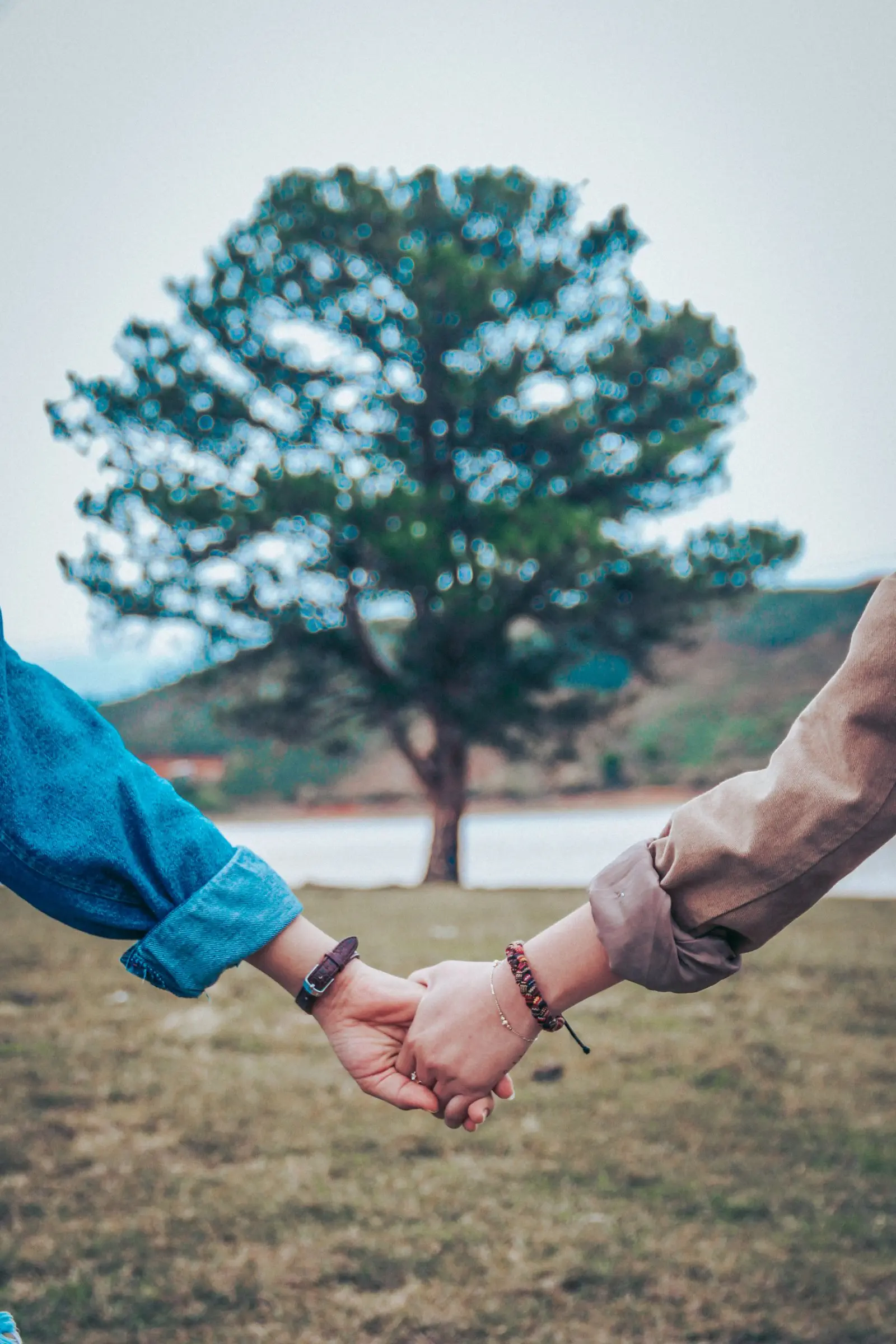 Image credit: Unsplash | Dương Hữu
