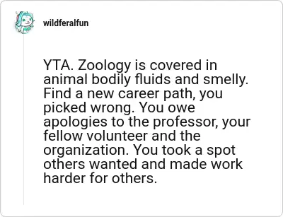 Image credit: wildferalfun | wildferalfun