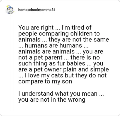Image credit: homeschoolmomma81 | homeschoolmomma81
