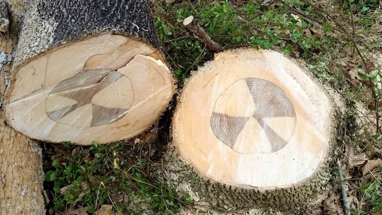 Image credit: Reddit | diyfail