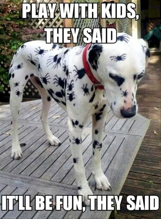 Image credit: Reddit | SeriesOfAdjectives