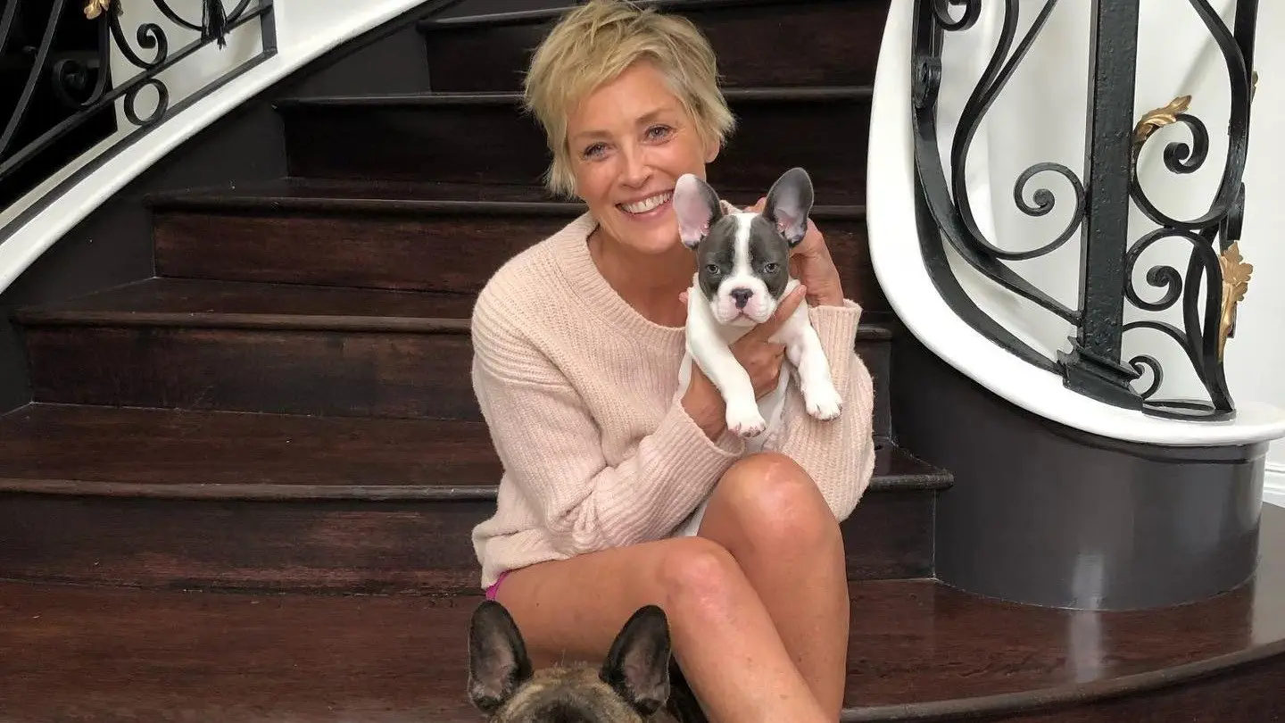 Image credit: instagram | Sharon Stone