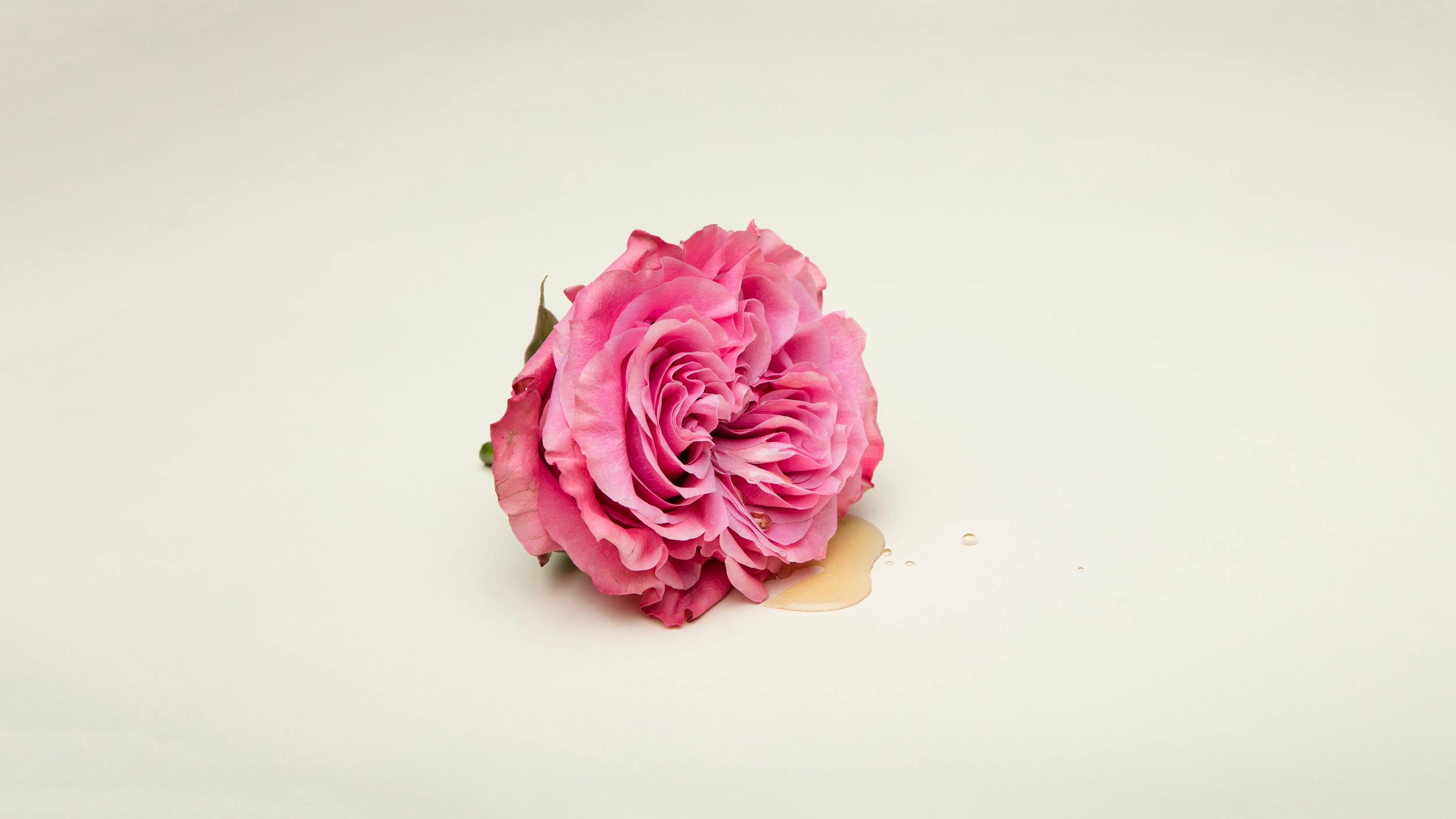 Image credit: Unsplash | Deon Black