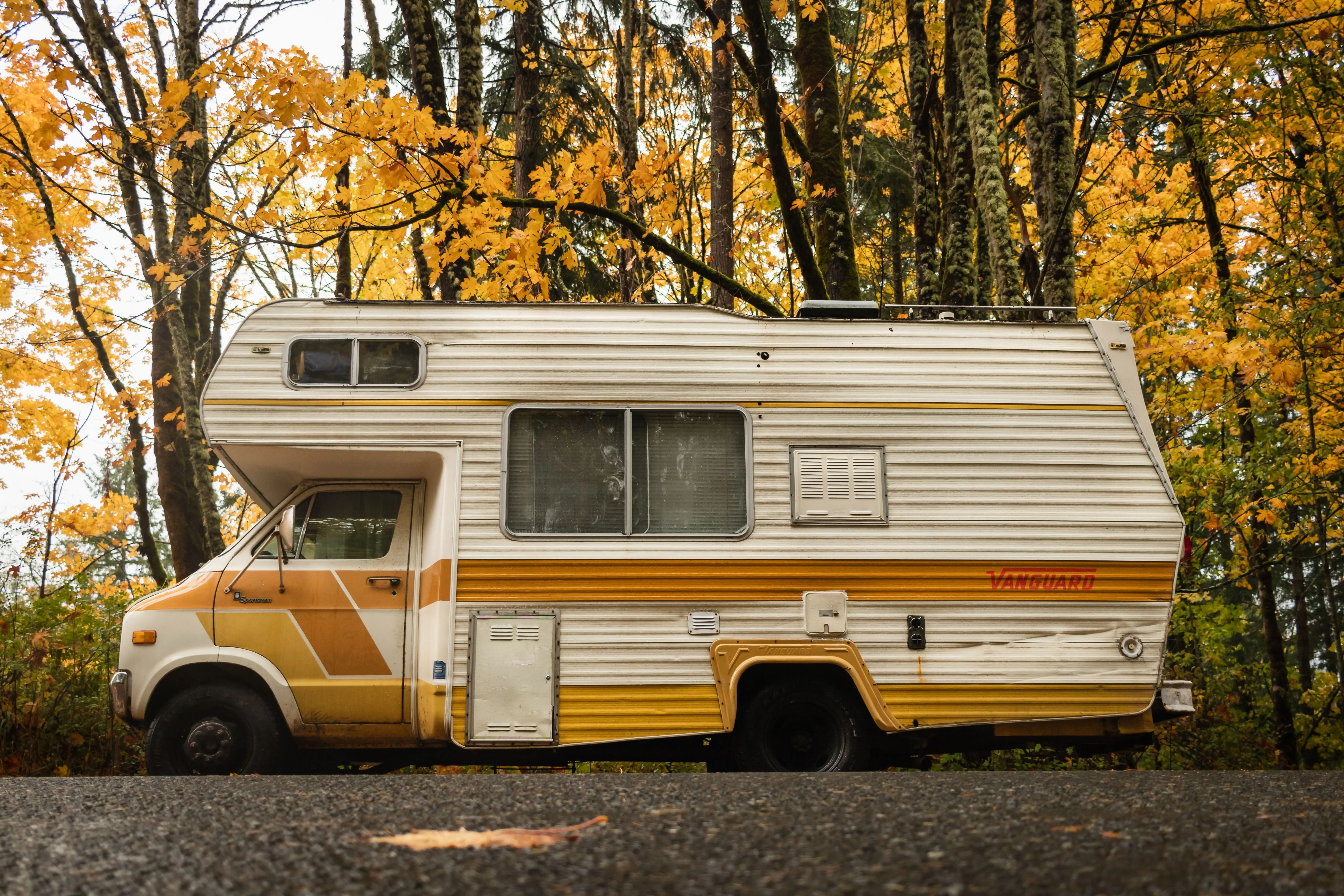 Image credit: Unsplash | Greg Rosenke