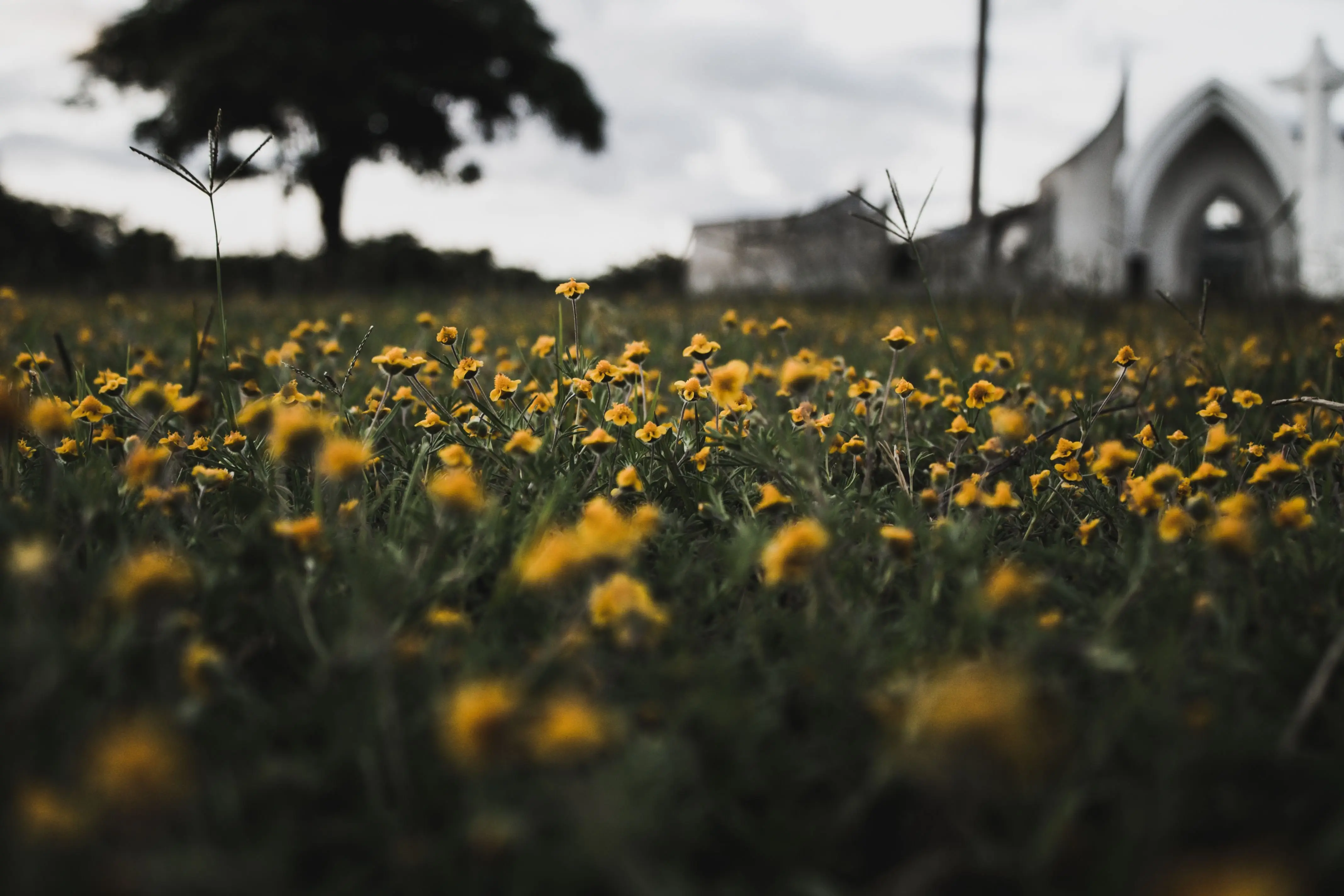 Image credit: Unsplash | Eduardo Tdp