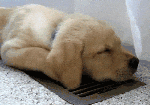 Image credit: Giphy