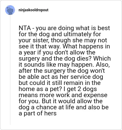Image credit: ninjaskooldropout | ninjaskooldropout