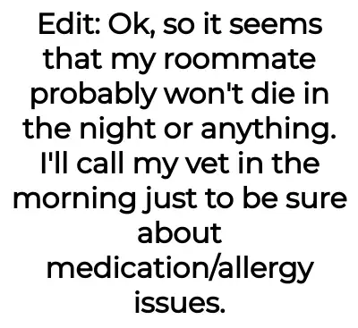 Image credit: catantibioticsaita | catantibioticsaita