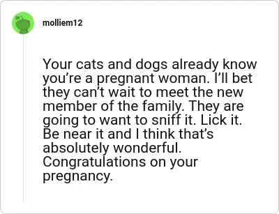 Image credit: molliem12 | molliem12