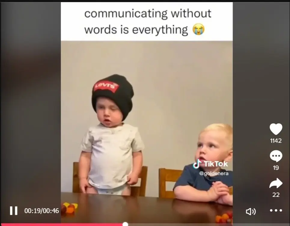 Image credit: TikTok | Goldenera/TikTok