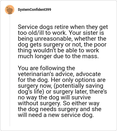 Image credit: SystemConfident399 | SystemConfident399